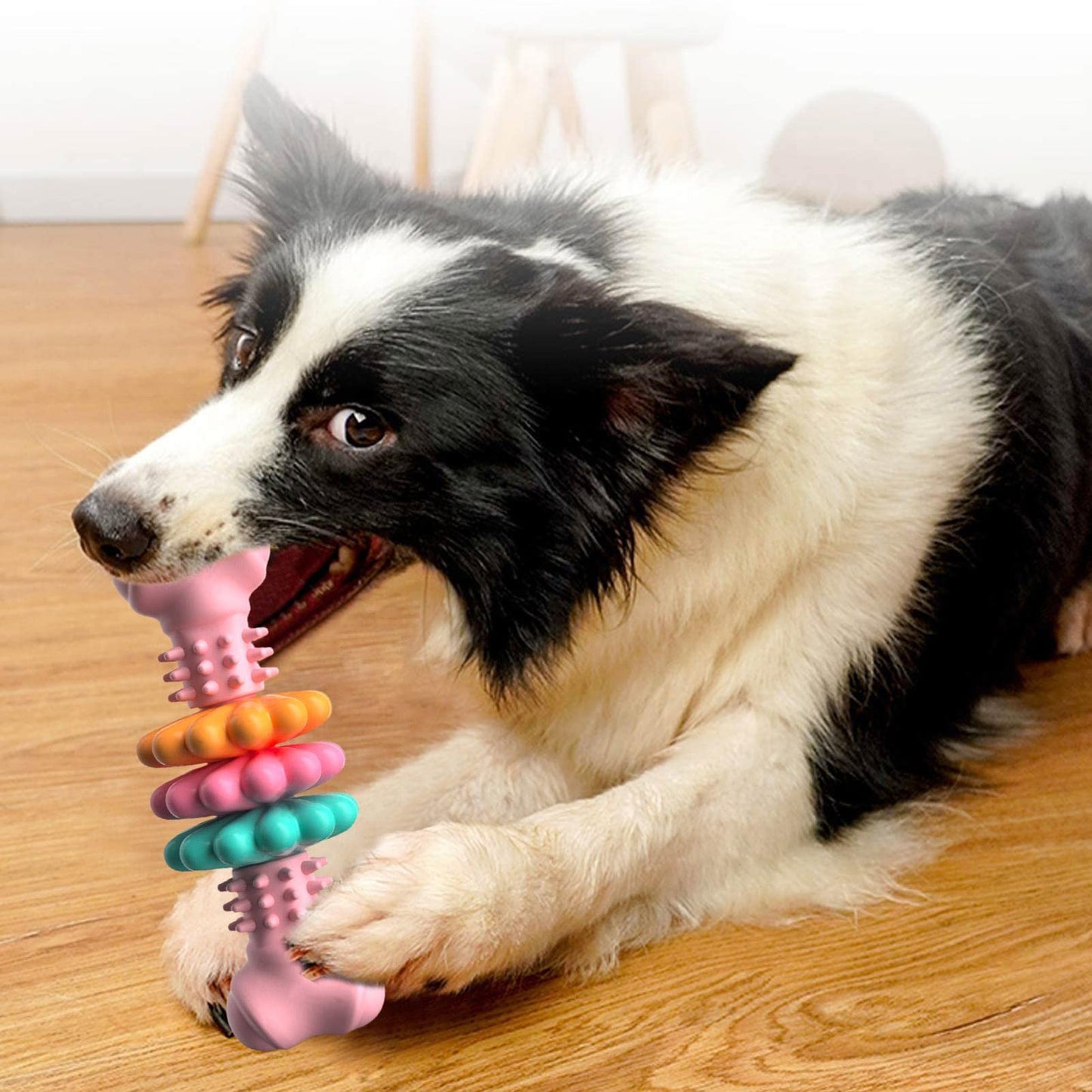 Bite Resistant Dog Chew Toys